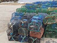 Fuiken in soorten en maten