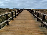 Een mooie manier om zonder schade door een natuurgebied te wandelen