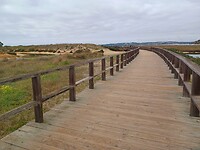 Op weg naar het strand