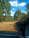 Cross country