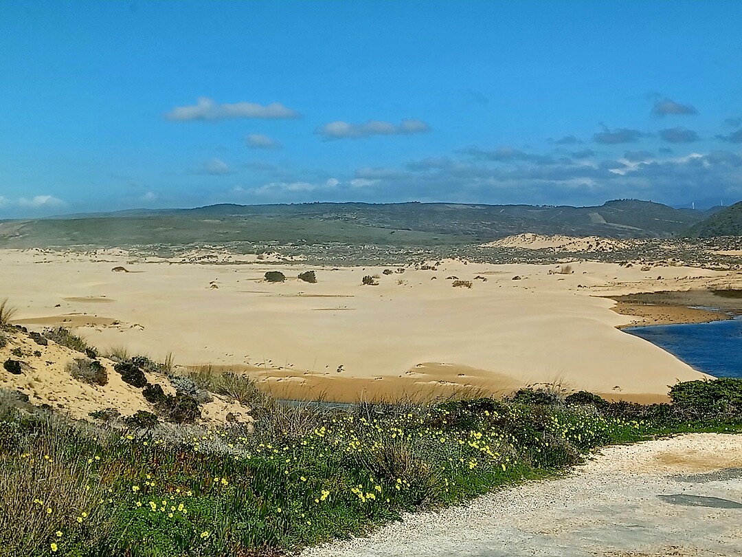 Vlak bij de kliffen een zandstrand langs de weg.
