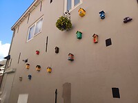 Oplossingen tegen de woningnood 😇