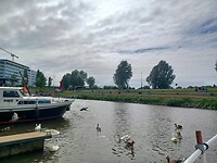 We hebben een mooie plek.