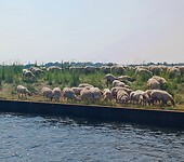 Door de polder naar Amersfoort