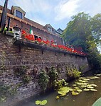 Overal leuke terrasjes aan de gracht.