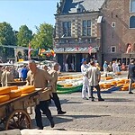 De kaasmarkt in Alkmaar