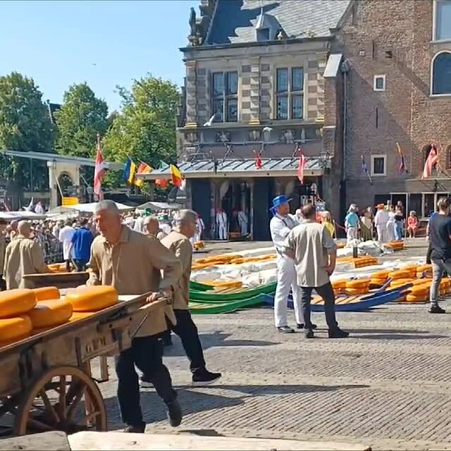 De kaasmarkt in Alkmaar
