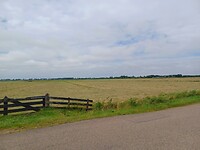Polder