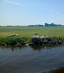 De schaapjes hebben dorst.