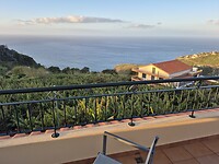 Vanaf ons balkon de bananenplantage