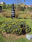 Doe maar een glaasje Madeira