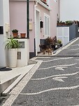 Leuke straatjes in Paul do Mar