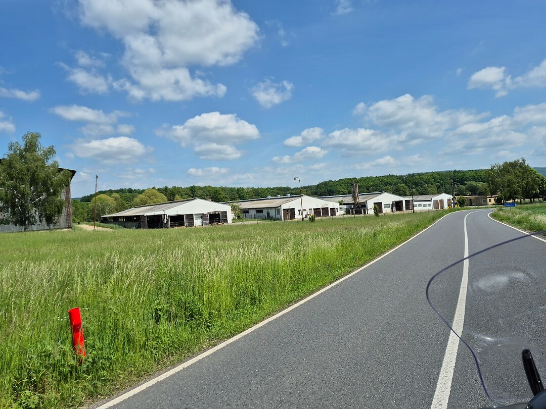 Grote koeienstallen