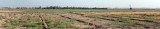 IRI_P1050449-453_Tabas
