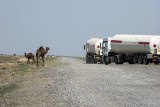Ashgabat-Mary_TZ1000277
