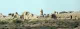TUR_TZ1000307+308_Merv