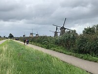 De molens van Kinderdijk