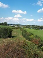 De maas
