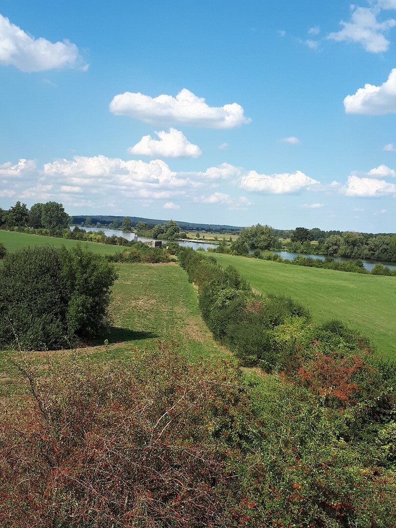 De maas