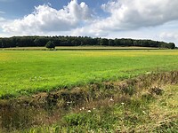 De Kale Berg