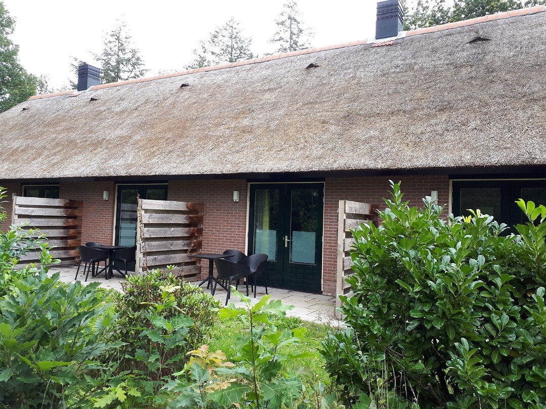 Ons terras
