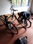 Fietsen van olie voorzien