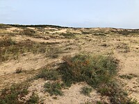 Nog meer duinen