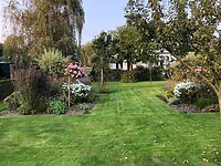 De tuin