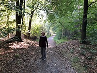 Ook wandelen in het bos
