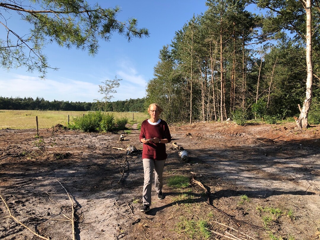 En in het bos en op de hei