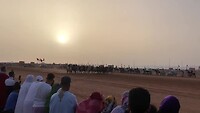 Paarden race