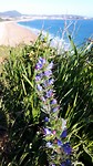 20190513_091246