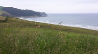 20190516_131337