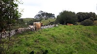 20190519_095615