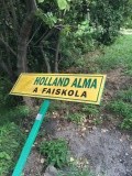 Hollanda Alma Holiday camp!