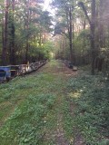 Midden in het bos! Voldoende bijenkasten maar.... Geen pijlen meer! Toen ging het dus fout