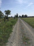 The weg is alsmaar rechtdoor!!