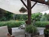 Hallo tuin