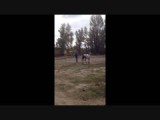 En zo houdt je een paard onder controle! Alleen met de stem!