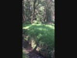 Frisse voetjes midden in t bos
