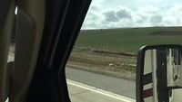 Cruising along the Blooming prarie