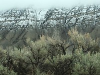 IMG_0492