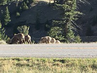 IMG_1562