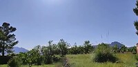 The garden I