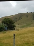 Wisselend landschap onderweg