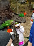 De parrots