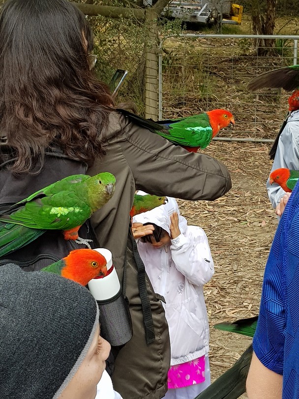 De parrots