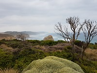 The 12 Apostles