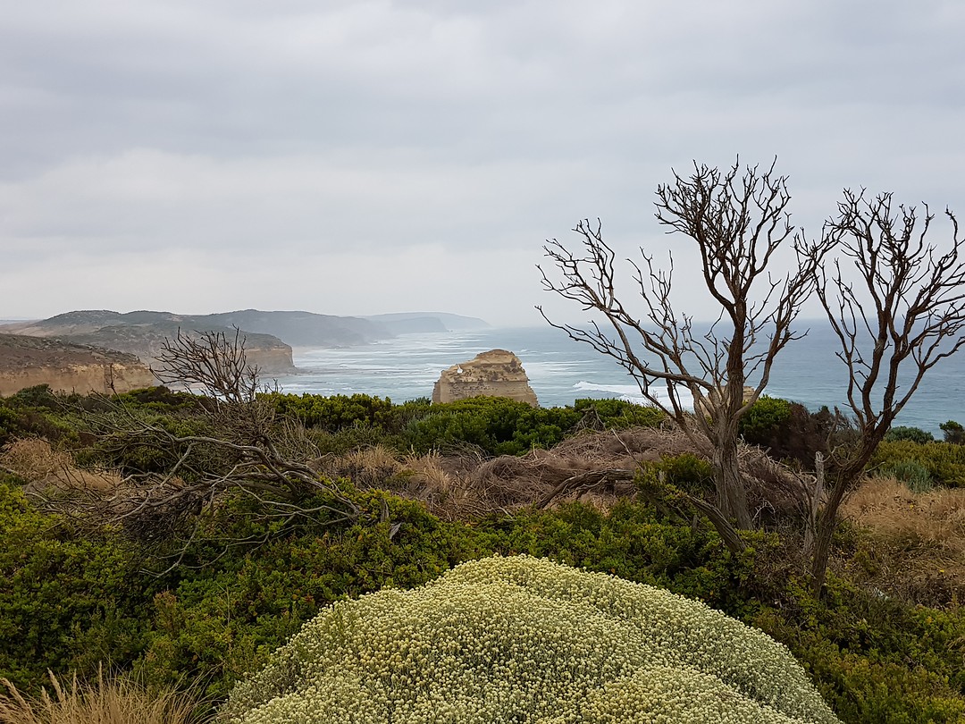 The 12 Apostles