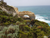 The Arch